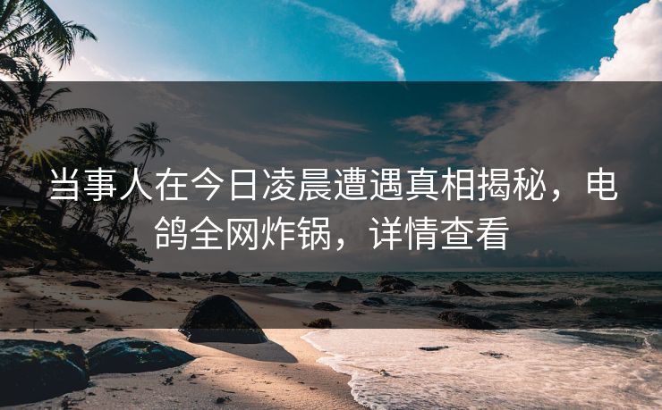 当事人在今日凌晨遭遇真相揭秘，电鸽全网炸锅，详情查看