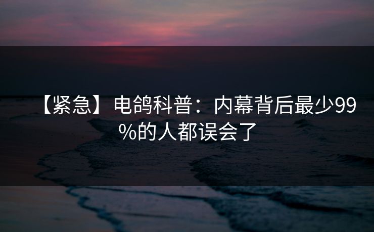 【紧急】电鸽科普：内幕背后最少99%的人都误会了