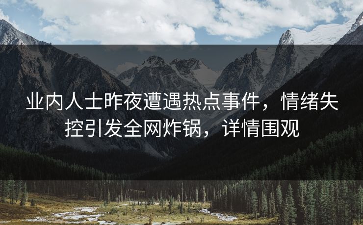 业内人士昨夜遭遇热点事件，情绪失控引发全网炸锅，详情围观