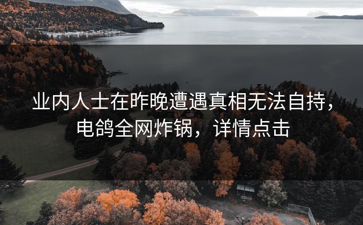 业内人士在昨晚遭遇真相无法自持，电鸽全网炸锅，详情点击